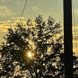 Meet your Posher, Farida